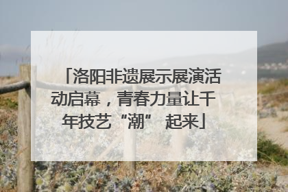 洛阳非遗展示展演活动启幕，青春力量让千年技艺“潮” 起来
