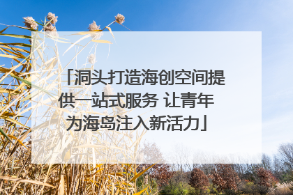 洞头打造海创空间提供一站式服务 让青年为海岛注入新活力