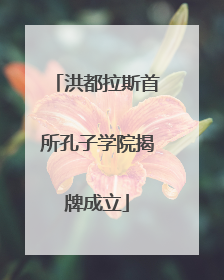 洪都拉斯首所孔子学院揭牌成立