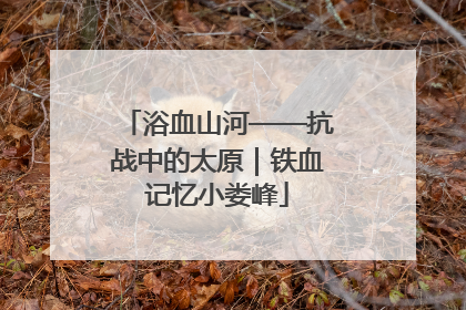 浴血山河——抗战中的太原｜铁血记忆小娄峰