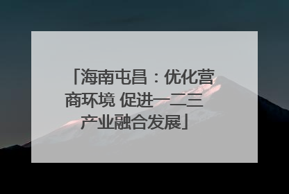 海南屯昌：优化营商环境 促进一二三产业融合发展