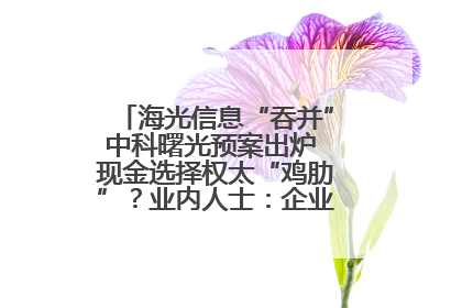 海光信息“吞并”中科曙光预案出炉 现金选择权太“鸡肋”？业内人士：企业不想大量现金流出