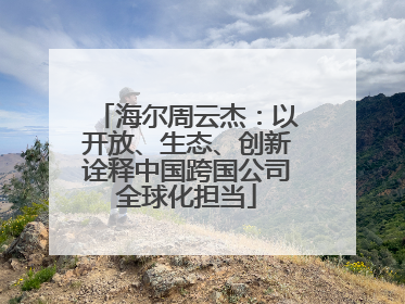 海尔周云杰：以开放、生态、创新诠释中国跨国公司全球化担当