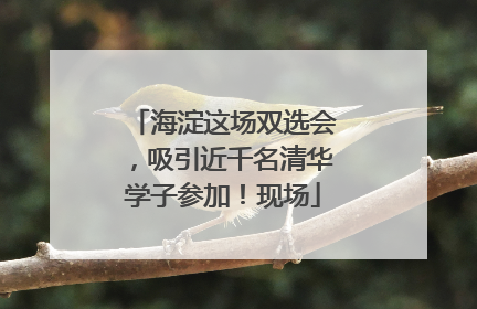 海淀这场双选会，吸引近千名清华学子参加！现场