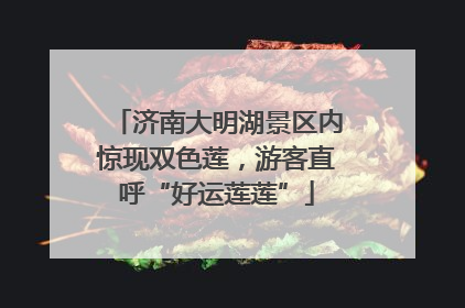 济南大明湖景区内惊现双色莲，游客直呼“好运莲莲”