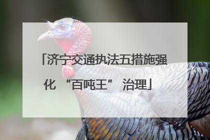 济宁交通执法五措施强化 “百吨王” 治理