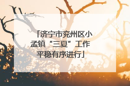 济宁市兖州区小孟镇“三夏”工作平稳有序进行