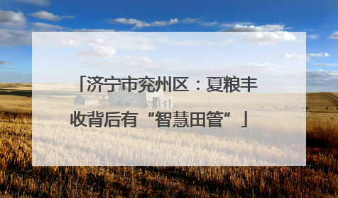 济宁市兖州区：夏粮丰收背后有“智慧田管”