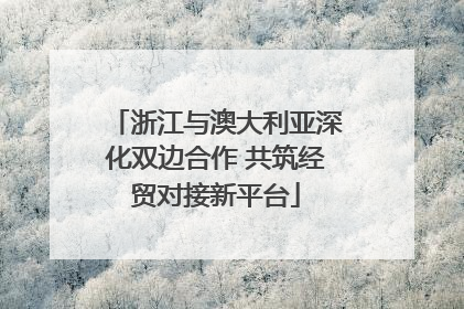 浙江与澳大利亚深化双边合作 共筑经贸对接新平台