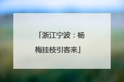 浙江宁波：杨梅挂枝引客来
