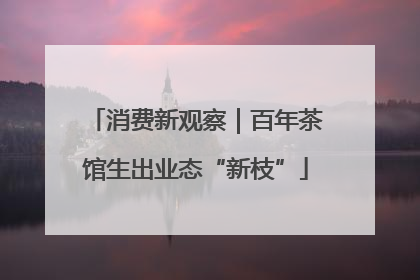 消费新观察｜百年茶馆生出业态“新枝”