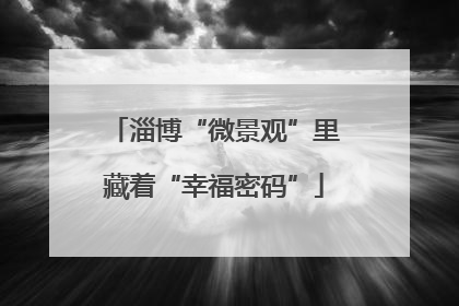 淄博“微景观”里藏着“幸福密码”