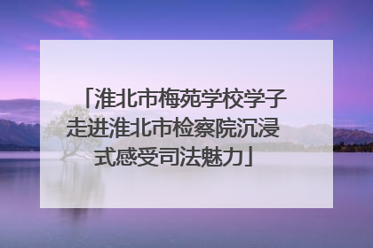 淮北市梅苑学校学子走进淮北市检察院沉浸式感受司法魅力