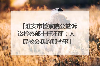 淮安市检察院公益诉讼检察部主任汪彦：人民教会我的那些事