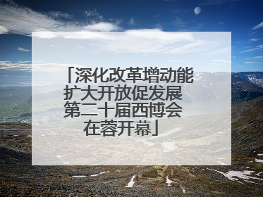 深化改革增动能 扩大开放促发展 第二十届西博会在蓉开幕