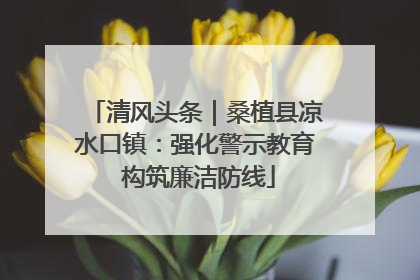 清风头条｜桑植县凉水口镇：强化警示教育 构筑廉洁防线