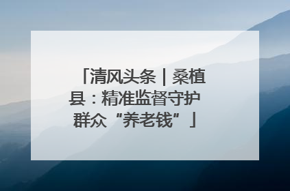清风头条｜桑植县：精准监督守护群众“养老钱”