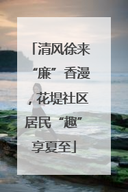 清风徐来“廉”香漫，花堤社区居民“趣”享夏至