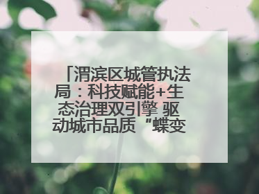 渭滨区城管执法局：科技赋能+生态治理双引擎 驱动城市品质“蝶变跃升”