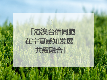 港澳台侨同胞在宁夏感知发展 共叙融合