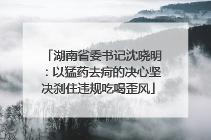 湖南省委书记沈晓明：以猛药去疴的决心坚决刹住违规吃喝歪风