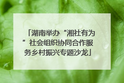 湖南举办“湘社有为”社会组织协同合作服务乡村振兴专题沙龙