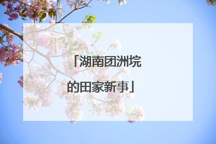 湖南团洲垸的田家新事