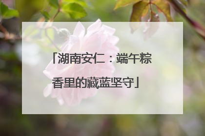 湖南安仁：端午粽香里的藏蓝坚守