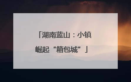 湖南蓝山：小镇崛起“箱包城”