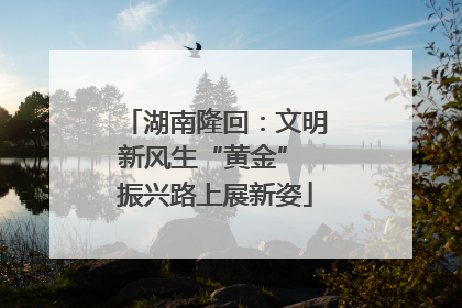 湖南隆回：文明新风生“黄金” 振兴路上展新姿