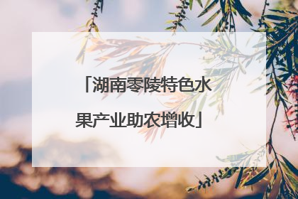湖南零陵特色水果产业助农增收
