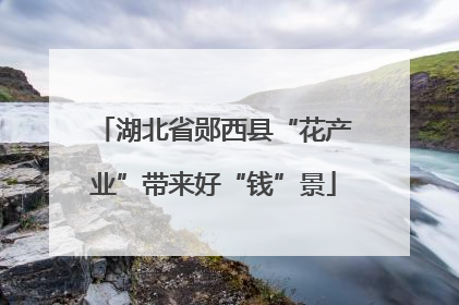 湖北省郧西县“花产业”带来好“钱”景