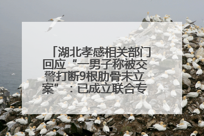 湖北孝感相关部门回应“一男子称被交警打断9根肋骨未立案”：已成立联合专班开展工作