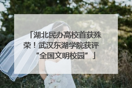 湖北民办高校首获殊荣！武汉东湖学院获评“全国文明校园”