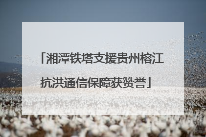湘潭铁塔支援贵州榕江抗洪通信保障获赞誉