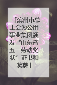 滨州市总工会为公用事业集团颁发“山东省五一劳动奖状”证书和奖牌