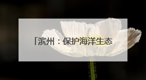 滨州：保护海洋生态环境 为子孙后代留下充满生机的海洋