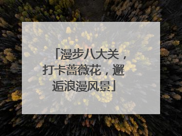 漫步八大关，打卡蔷薇花，邂逅浪漫风景