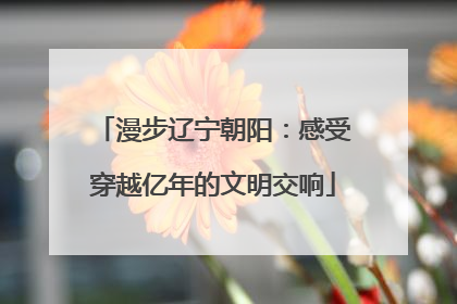 漫步辽宁朝阳：感受穿越亿年的文明交响