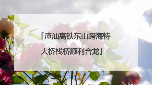 漳汕高铁东山跨海特大桥栈桥顺利合龙