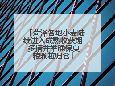 菏泽各地小麦陆续进入成熟收获期 多措并举确保夏粮颗粒归仓
