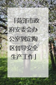 菏泽市政府安委会办公室到定陶区督导安全生产工作