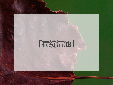 荷绽清池
