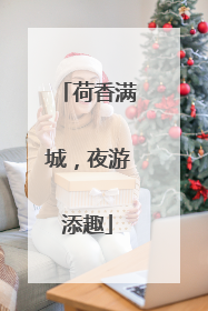 荷香满城，夜游添趣
