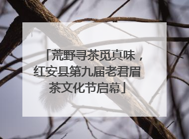 荒野寻茶觅真味，红安县第九届老君眉茶文化节启幕
