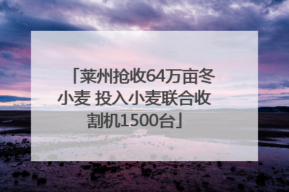 莱州抢收64万亩冬小麦 投入小麦联合收割机1500台