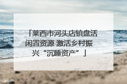 莱西市河头店镇盘活闲置资源 激活乡村振兴“沉睡资产”