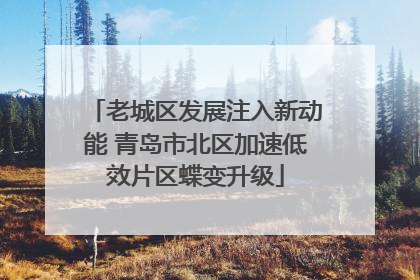 老城区发展注入新动能 青岛市北区加速低效片区蝶变升级