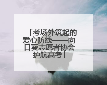 考场外筑起的爱心防线——向日葵志愿者协会护航高考