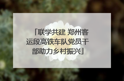 联学共建 郑州客运段高铁车队党员干部助力乡村振兴